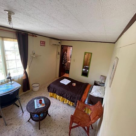 דירות אורנג'סטאד Aruba Backpackers מראה חיצוני תמונה