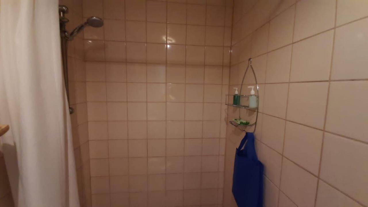 דירות אורנג'סטאד Aruba Backpackers מראה חיצוני תמונה