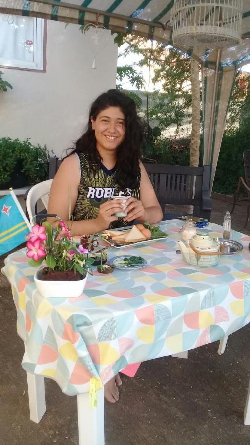 דירות אורנג'סטאד Aruba Backpackers מראה חיצוני תמונה
