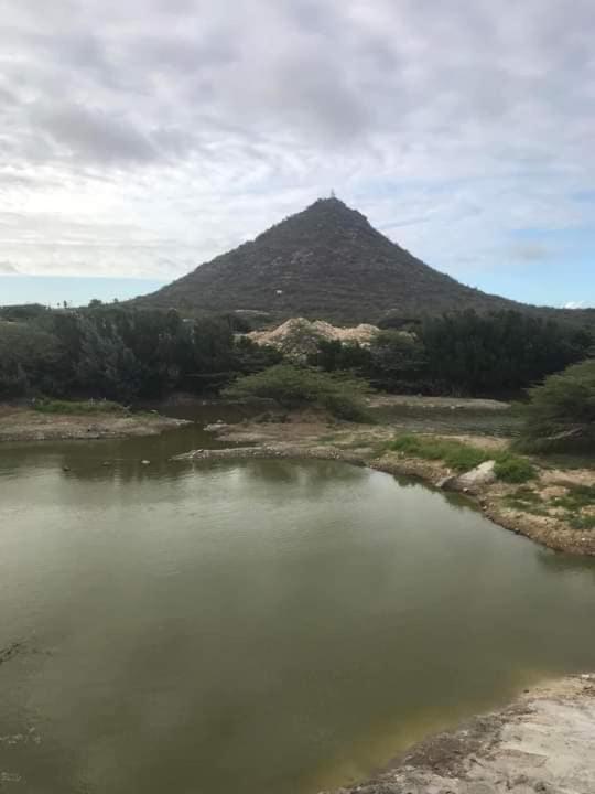 דירות אורנג'סטאד Aruba Backpackers מראה חיצוני תמונה