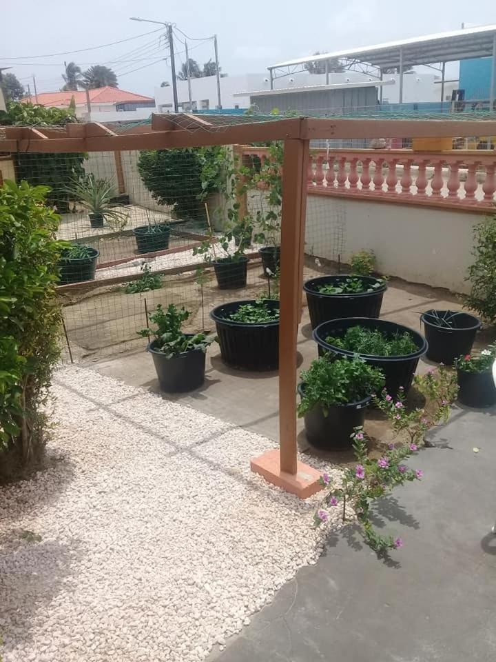 דירות אורנג'סטאד Aruba Backpackers מראה חיצוני תמונה