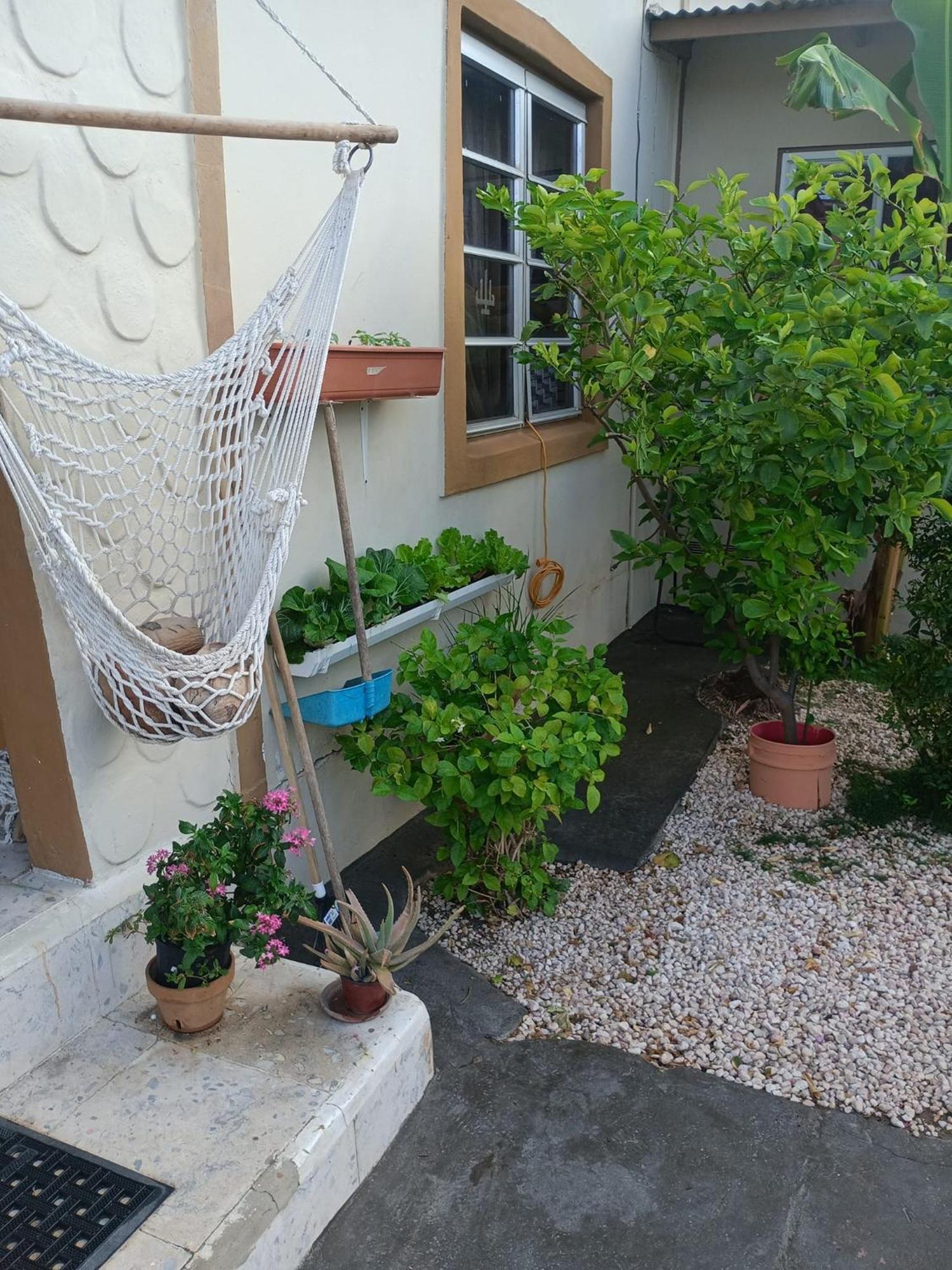 דירות אורנג'סטאד Aruba Backpackers מראה חיצוני תמונה